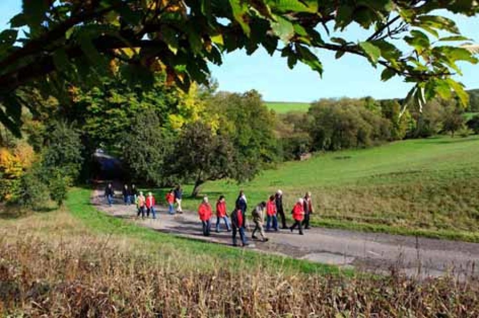 Wandergruppe auf einem Feldweg